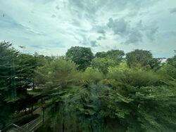 Blk 259 The Clover @ Kebun Baru (Ang Mo Kio), HDB 5 Rooms #440107911